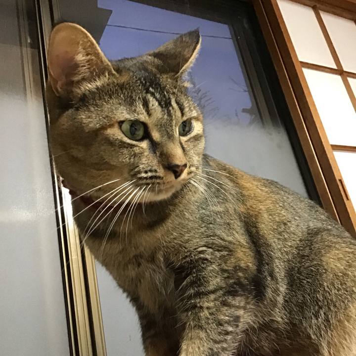 A0f972bb 8cda 4bd1 83d4 fac5593140b5 1632648178544