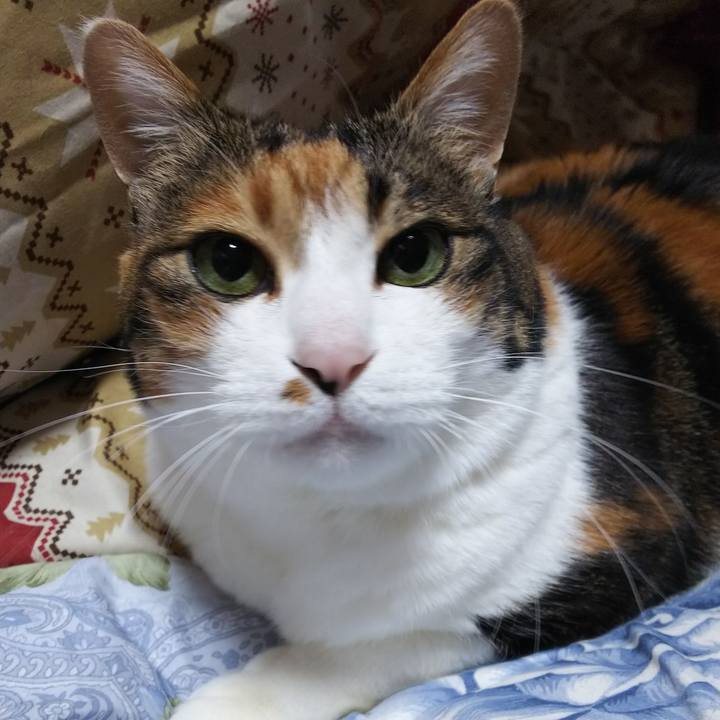 A0f9aa03 8770 49f2 b885 eed0cd2efa60 1550785657743