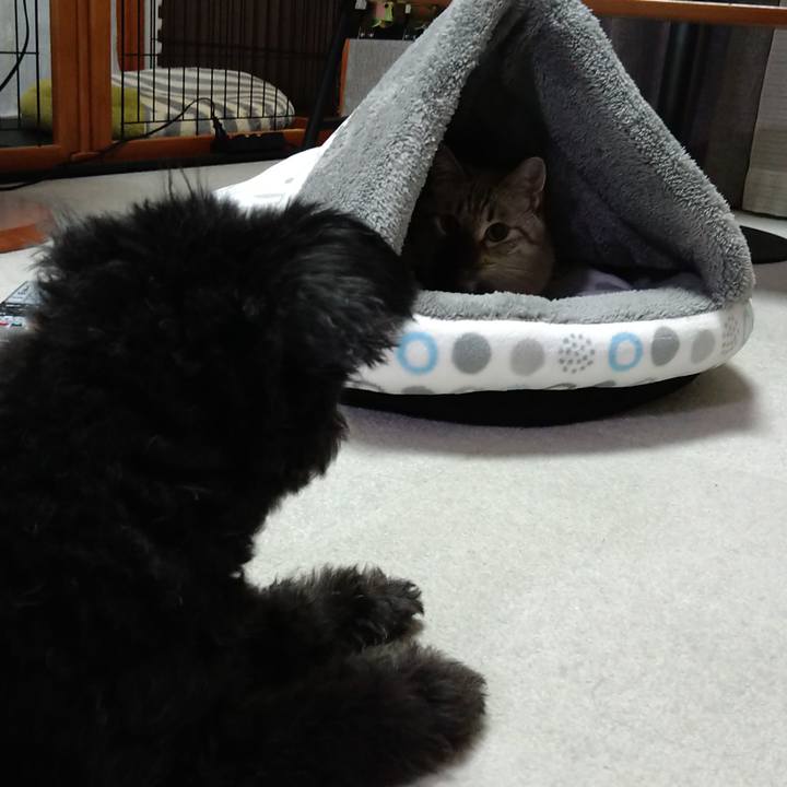 A0f9ae05 32e7 4892 89ee 4125f9bedd31 1633952614030