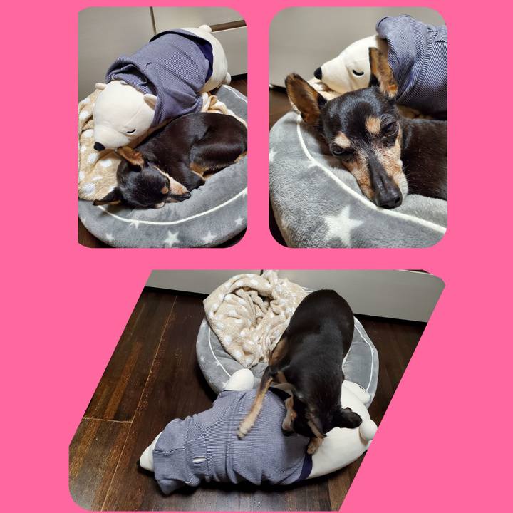 A0fa67b7 25c0 4b15 ac9e 7790958cccf6 1667431085255