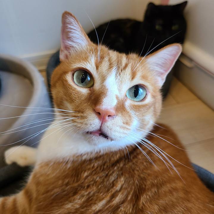 A0fa6e05 31eb 444d af56 13c58cadcd30 1685426599855