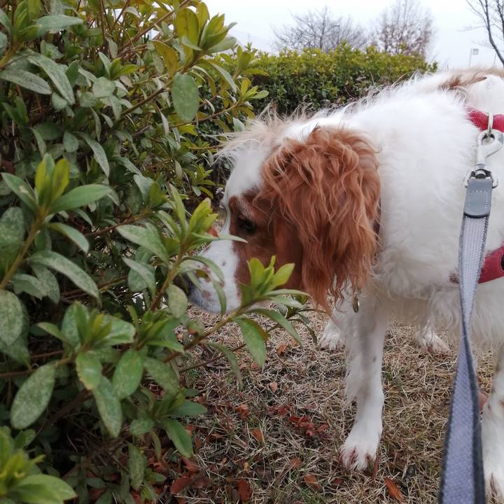 A0fa9b3e 85ce 425d afc8 fb0142c763fb 1579766674582