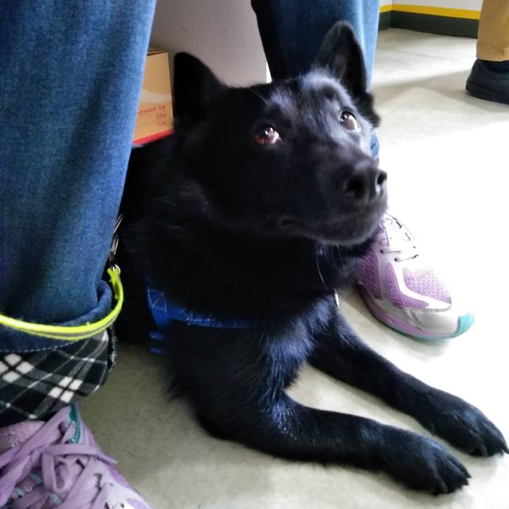 A0faa589 0931 4d5a a8e9 8011ff6fb78c 1553998992800