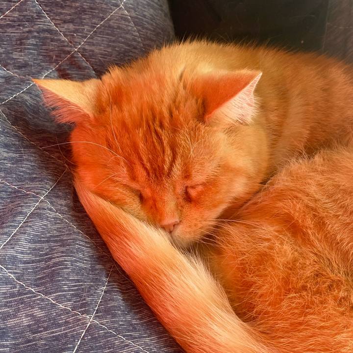 A0faac18 2277 4ec5 ae19 def95afba340 1638157603040