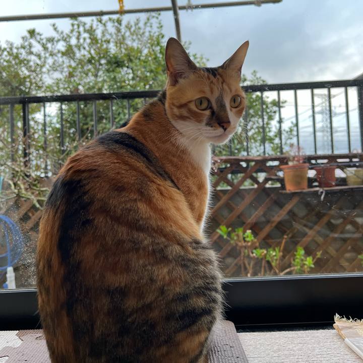 A0fac947 65a0 48a0 ba22 cc31539449da 1743113327294