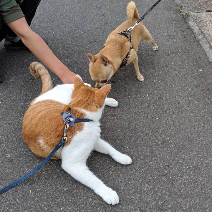 A0faeba9 7345 4b55 9dfe 3ad732273f26 1564363035928