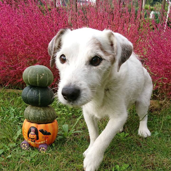 A0fb142d 8d9e 41a8 aa4b f7117a60e9b7 1603235757159