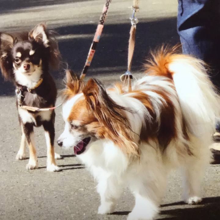 A0fb2281 62db 4ec0 838f ba8ecd3701fd 1539603402890