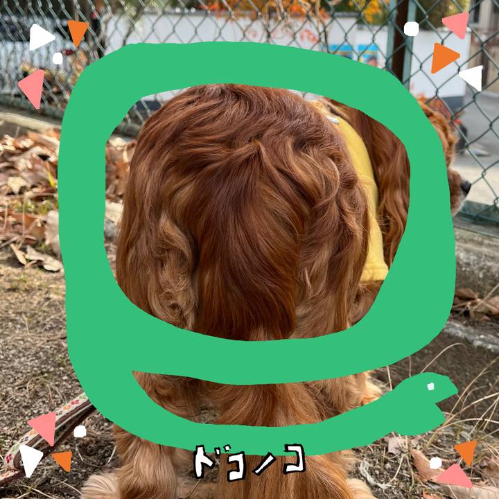 A0fb2d94 88b5 46a3 b684 d8ff1c761f9d 1741394828873