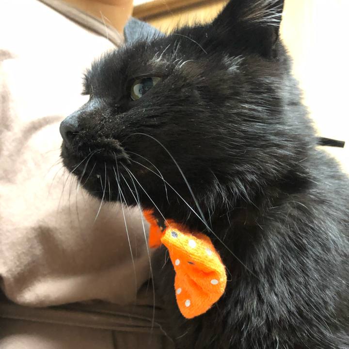 A0fb2e38 d3af 4f72 b1fc 1c19472feb0d 1603972580382