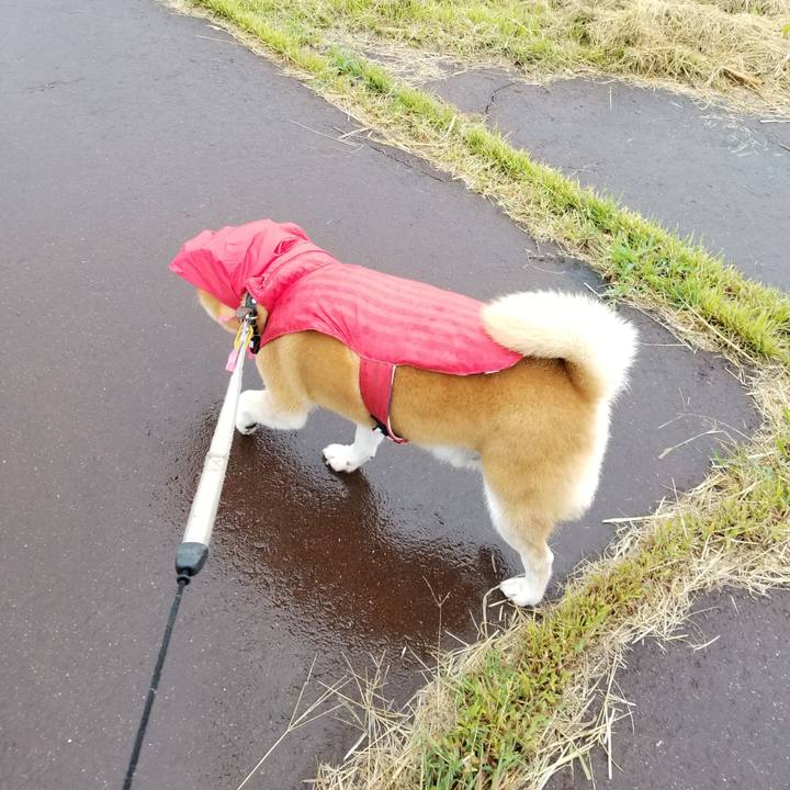 A0fb52db b9aa 4c66 9dc6 7dff6c5e81d1 1631080518534