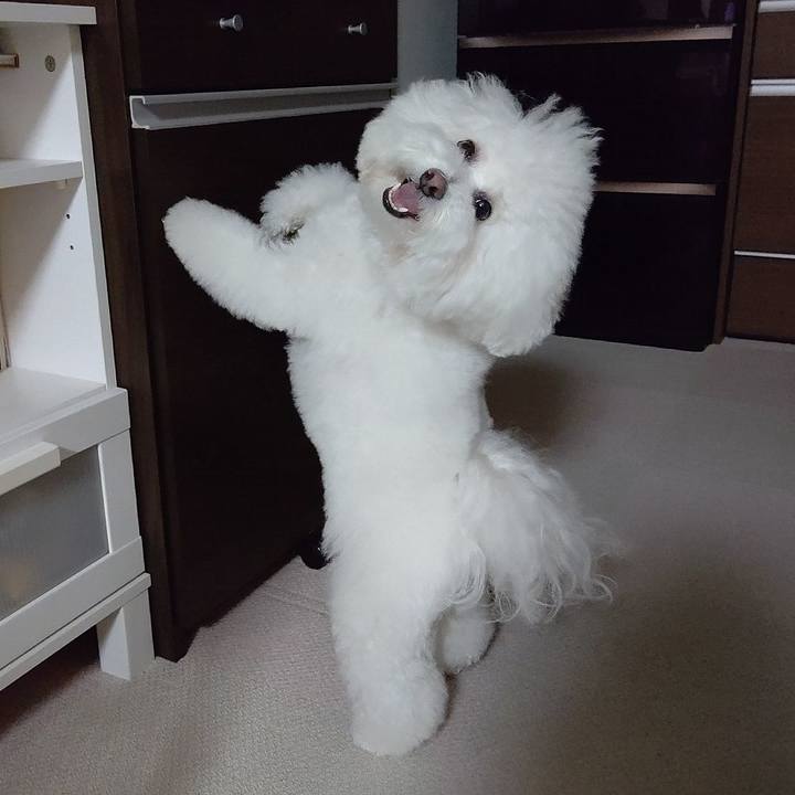 A0fb656e 9c18 4684 af89 9fb45f452926 1617274959180