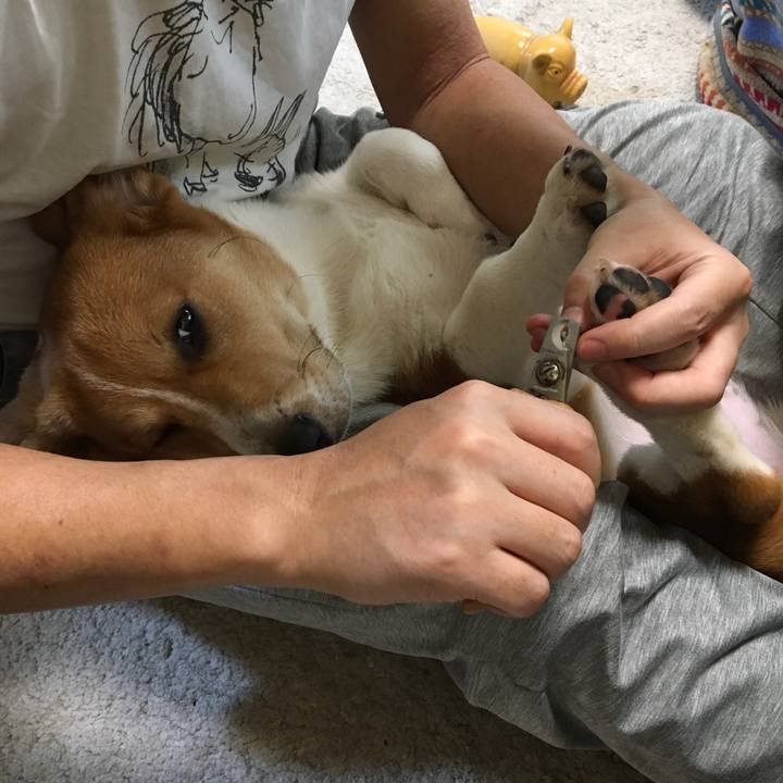 A0fb7986 8301 4c97 823f a559d778dfec 1595896922173