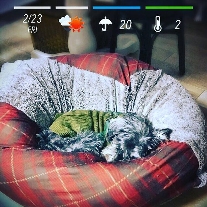 A0fb9583 1b09 482d aedc 6ca35bdba9b0 1519347094975