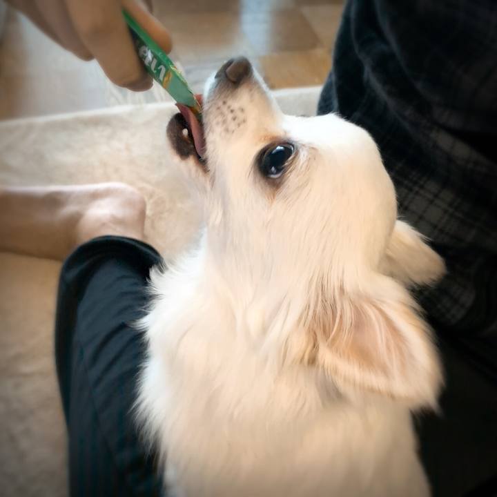 A0fb968f c219 4cae a961 7d9052fcbe4c 1581498811549