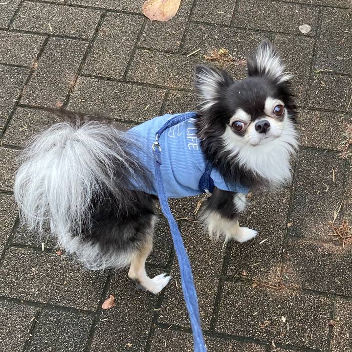 A0fba40b 4384 4e23 a690 788f946bc9e1 1665240597711