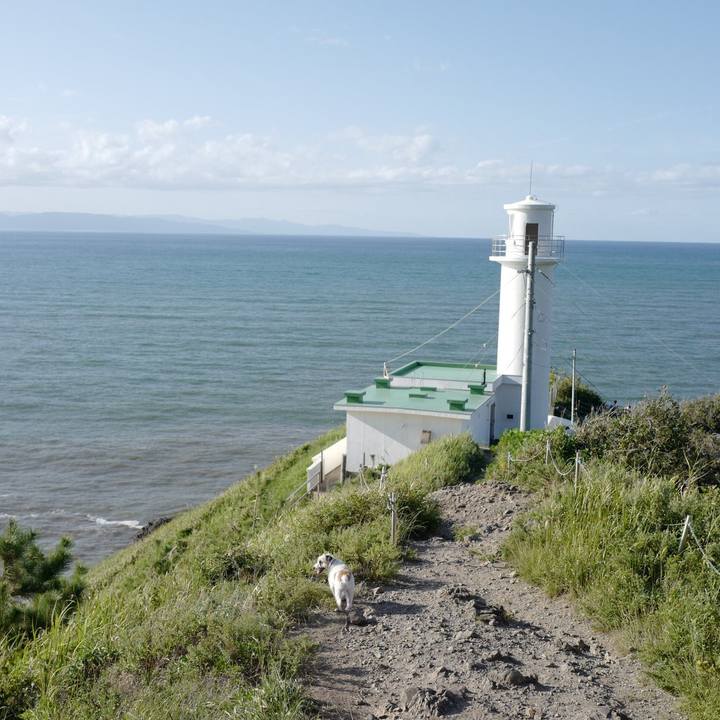 A0fbab1a e2f4 47b2 a81d 31c43ab9ce7e 1568955679438