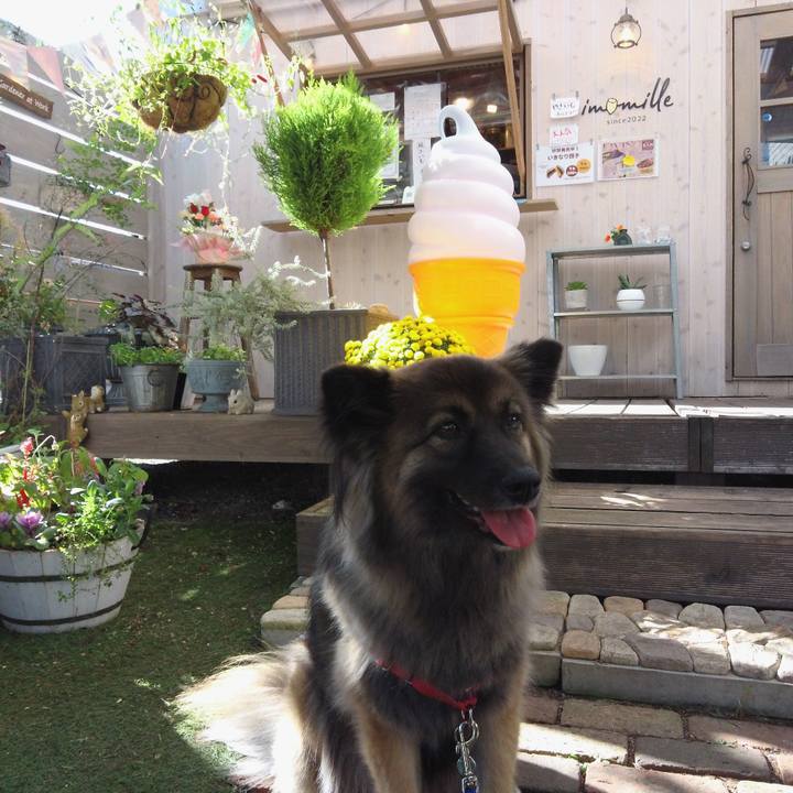 A0fbb7fb ef85 4a67 88eb fb152cfec44b 1763875155204