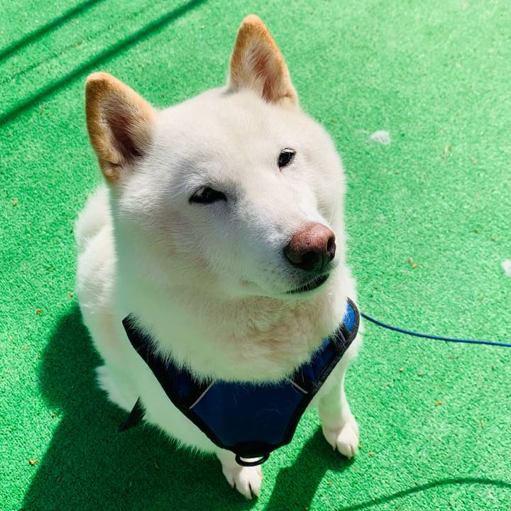 A0fbcf29 93d7 47f9 aa57 222259ea8ce1 1651991538843