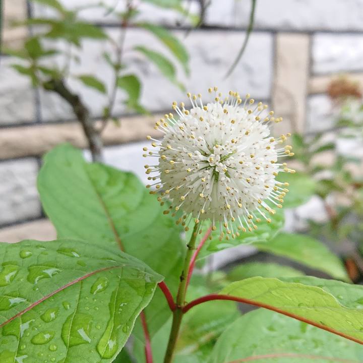 A0fbe8c5 563a 471d b5ce 6bf8d8432fa0 1661829460451