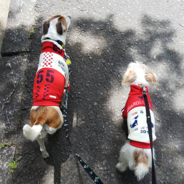 A0fbefdf 7d73 4127 bba7 3febf99ac1b0 1525586522535