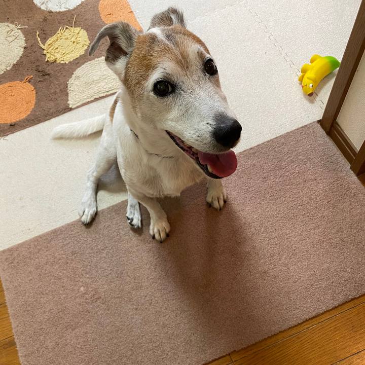 A0fbfd6e a6c7 4ae2 9d69 e4c2efc34a43 1599781538772