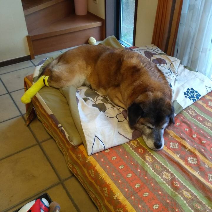 A0fc4f79 c0d8 4eb5 b38c bf6b16641483 1562623754228