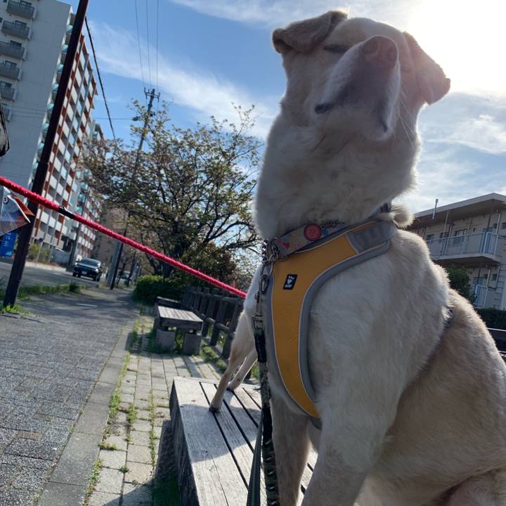 A0fc59cd d8e8 4fc8 bdb7 ba4b51eab676 1555386021212