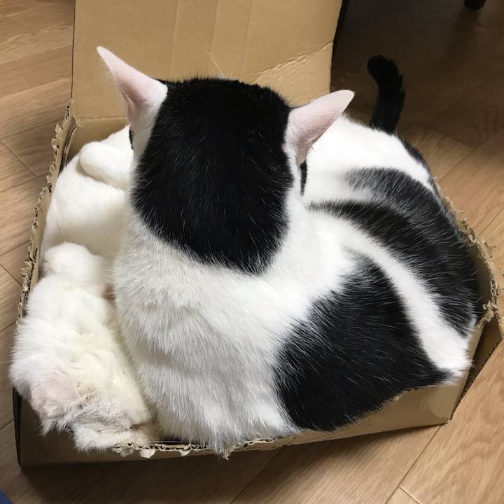 A0fc765a 27ef 4ab8 accc 5db67cca009a 1569714659056