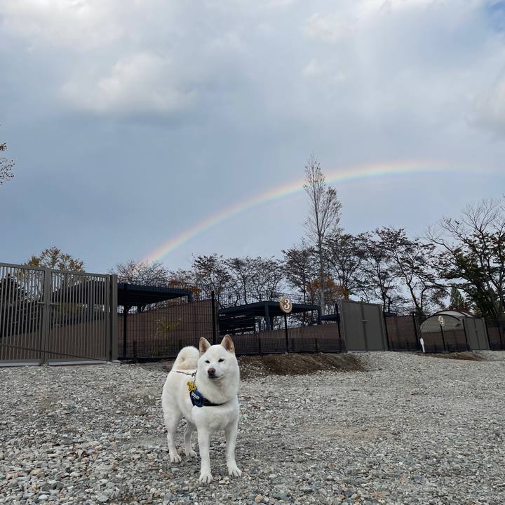 A0fc9a6a 20dd 447e 9983 19b72552e36c 1698472463985