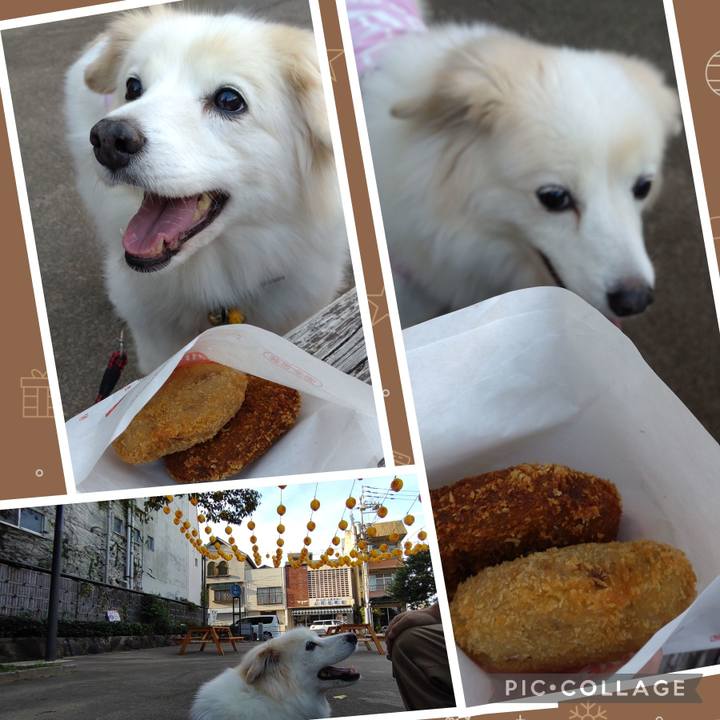 A0fce89b 8dc8 470a 83c6 7713c50208d2 1669368472192