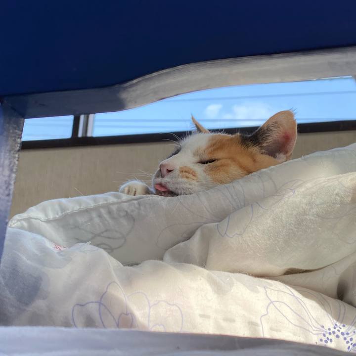 A0fcf3d0 973f 42e0 9a54 80e92384445f 1682393349955