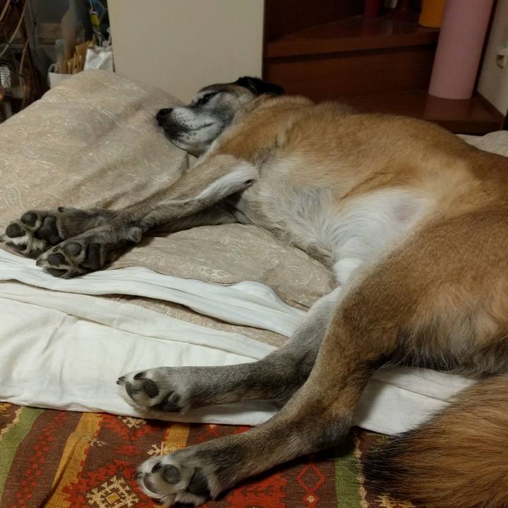 A0fcf814 a59d 4b41 9abb 48d64bf31c71 1517566127685