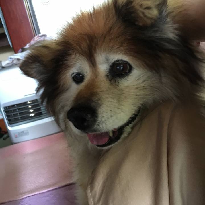 A0fd0572 5de1 426c baf2 35417360d020 1558075565205