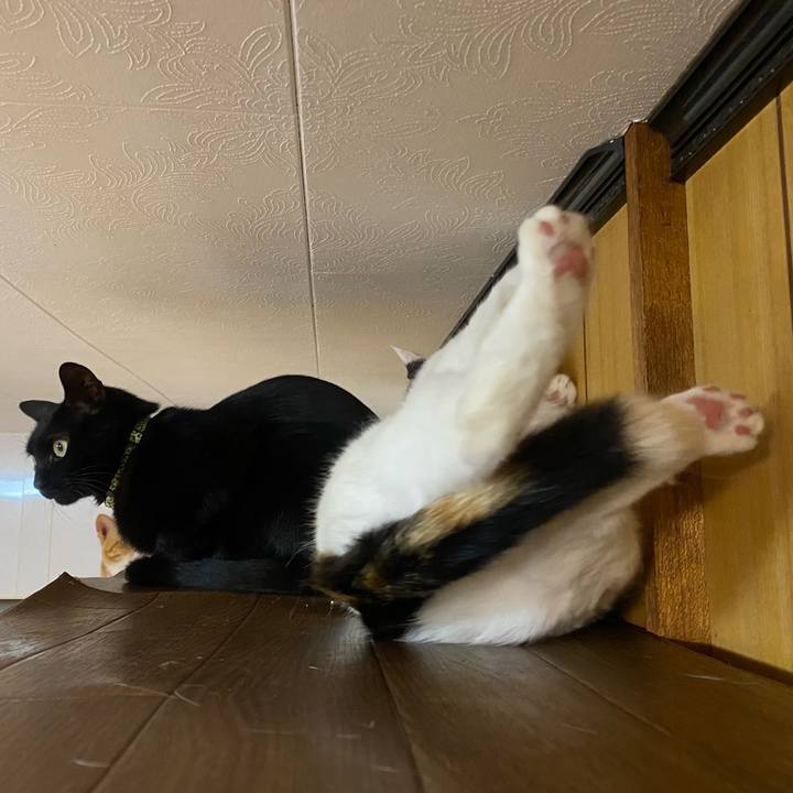 A0fd1772 6191 423c 85bd 75f3802520cf 1652794228997