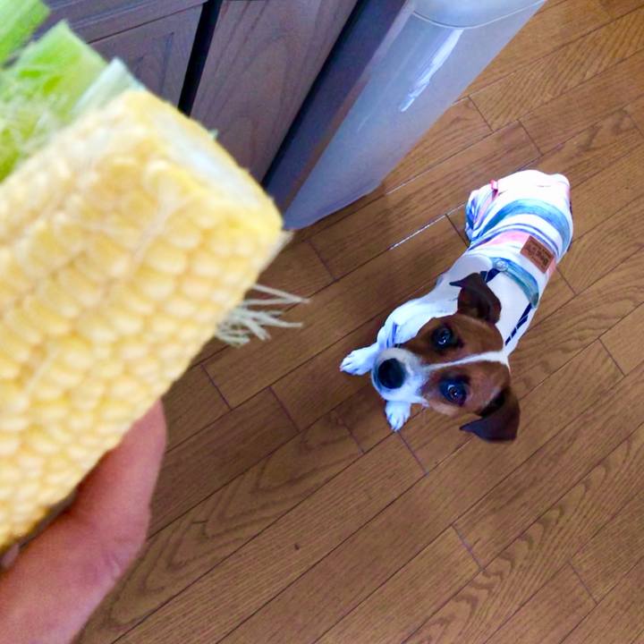 A0fd2276 0cd0 42bf 85f7 65a50fee2631 1564801318883