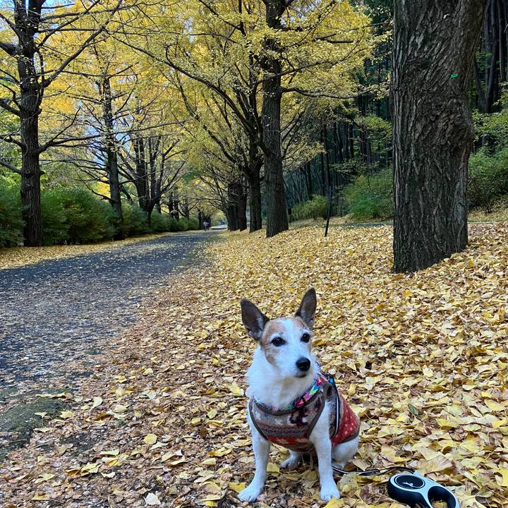 A0fd2816 a20f 464b 837e 5519e33193b2 1701128295221