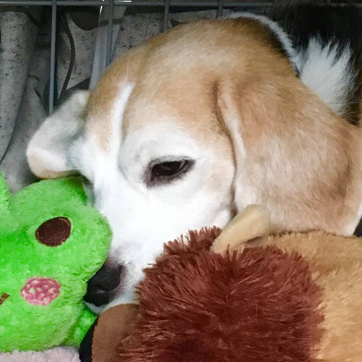 A0fd71cd 9324 46ed 9532 450182e5c10c 1572322685397