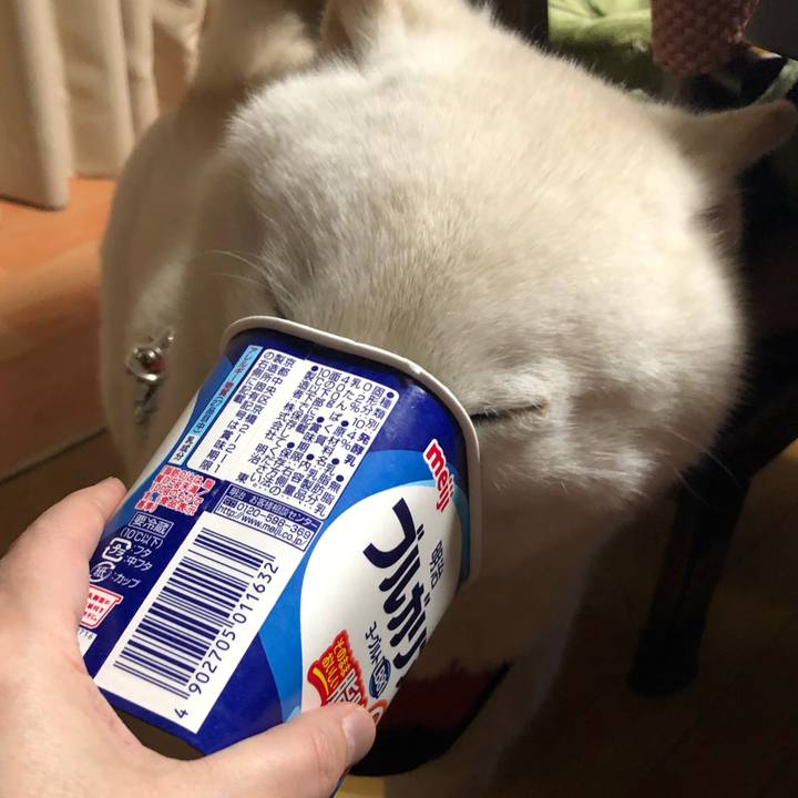 A0fd81c8 1123 4a68 8fd6 8e9ac49d337f 1615196993135