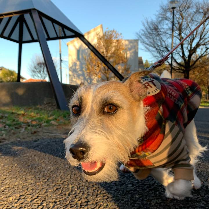 A0fd867a b0db 4a5c beb6 1f945b4b1ae2 1671368929047