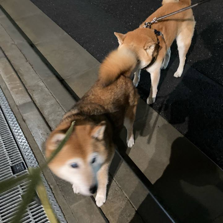 A0fd8f81 9e7a 45aa b645 b733ed312d4e 1718713929836