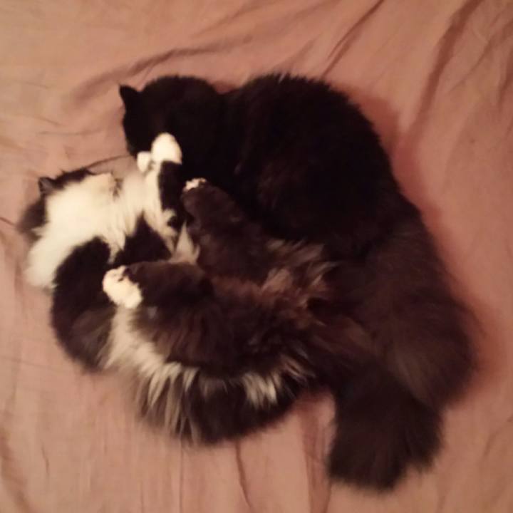 A0fde1b7 8faa 4adb 97d1 13b6afaebf96 1513261298313