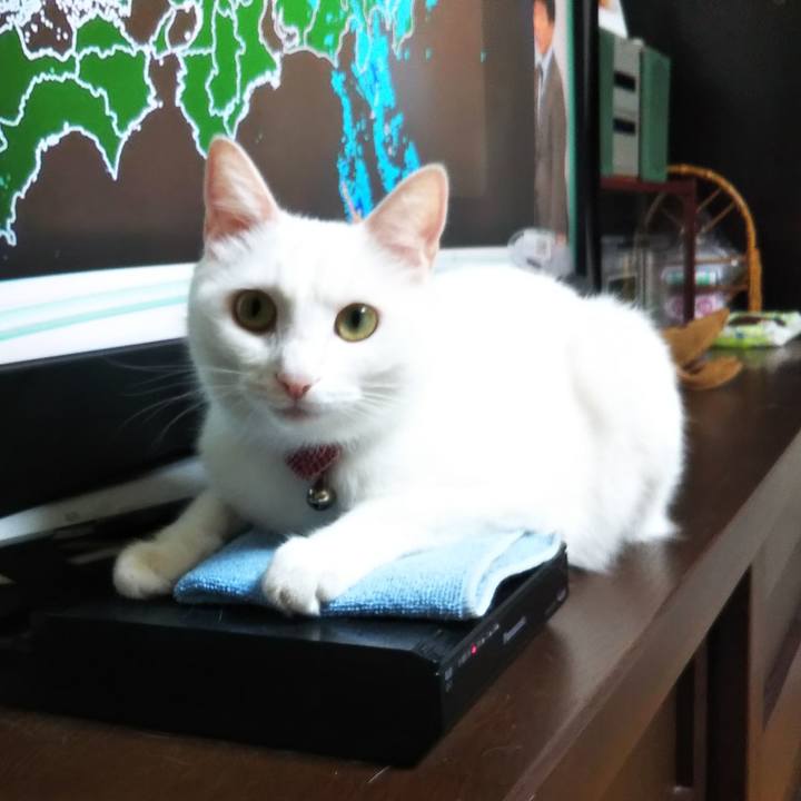 A0fdf888 7a89 4c22 a779 8cc584536bb0 1627336114703