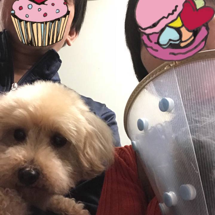 A0fe26f5 0de1 491b ba52 77f7460800bc 1519439594965