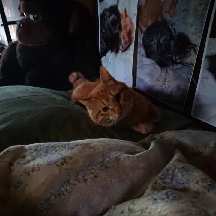 A0fe2e24 d1ed 4872 a2cf 667c9ef8f98f 1657053691983