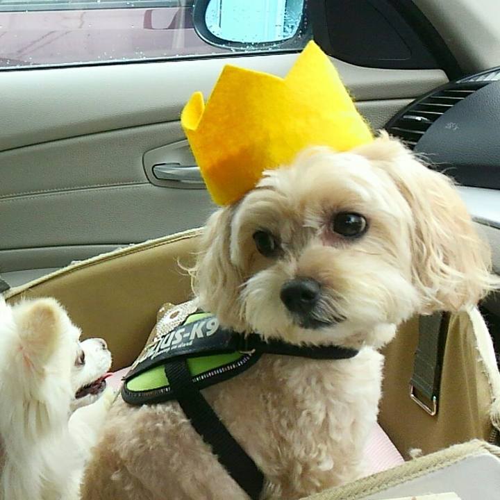 A0fe3713 8758 4004 9e15 55a409230882 1507963930244