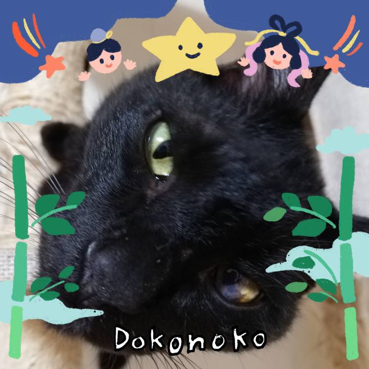 A0fe7a3f f1a7 4354 8b73 4b05b803cc44 1720822251523