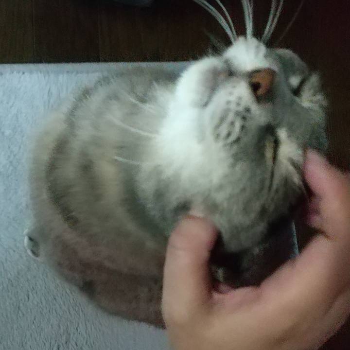 A0feb4eb ccac 4960 a24f ca0dd63a2b54 1634864788834