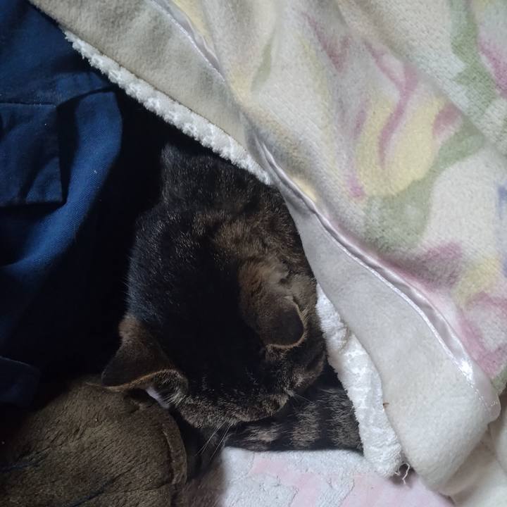 A0fece9b ee48 4174 974e de9c8f43b82f 1742820461829