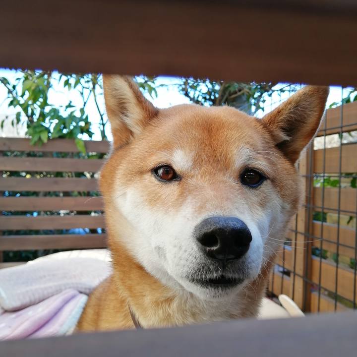 A0feecc5 4d9c 4fca a235 7c486aa0ef3c 1613451335609